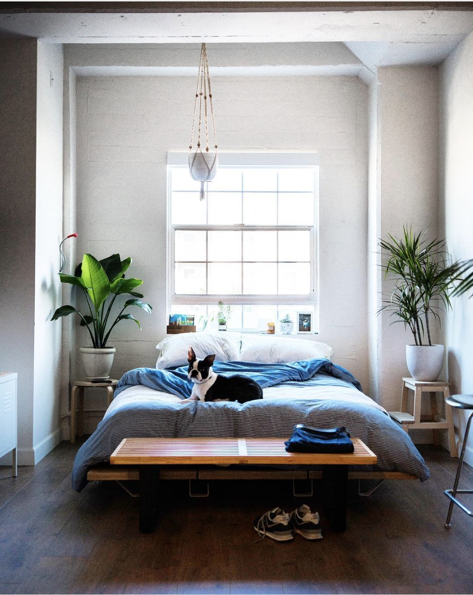 Large Window Behind The Bed Of A Small Bedroom