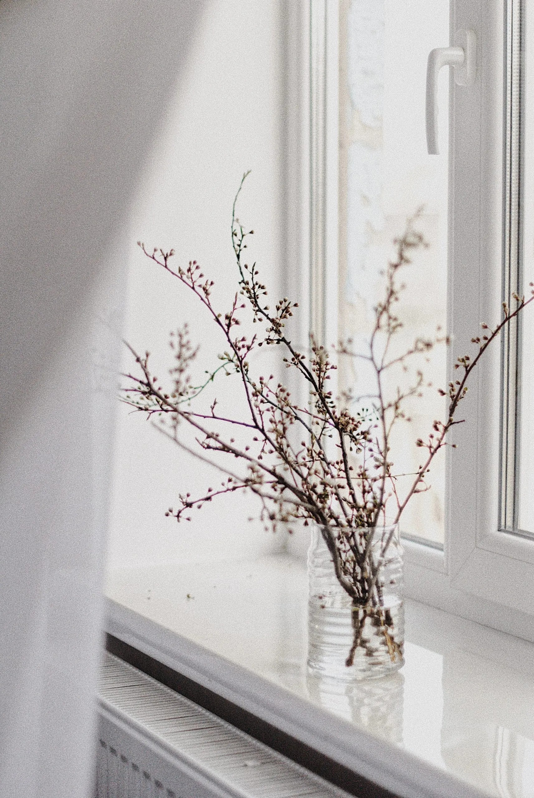 Wreaths and winter greenery