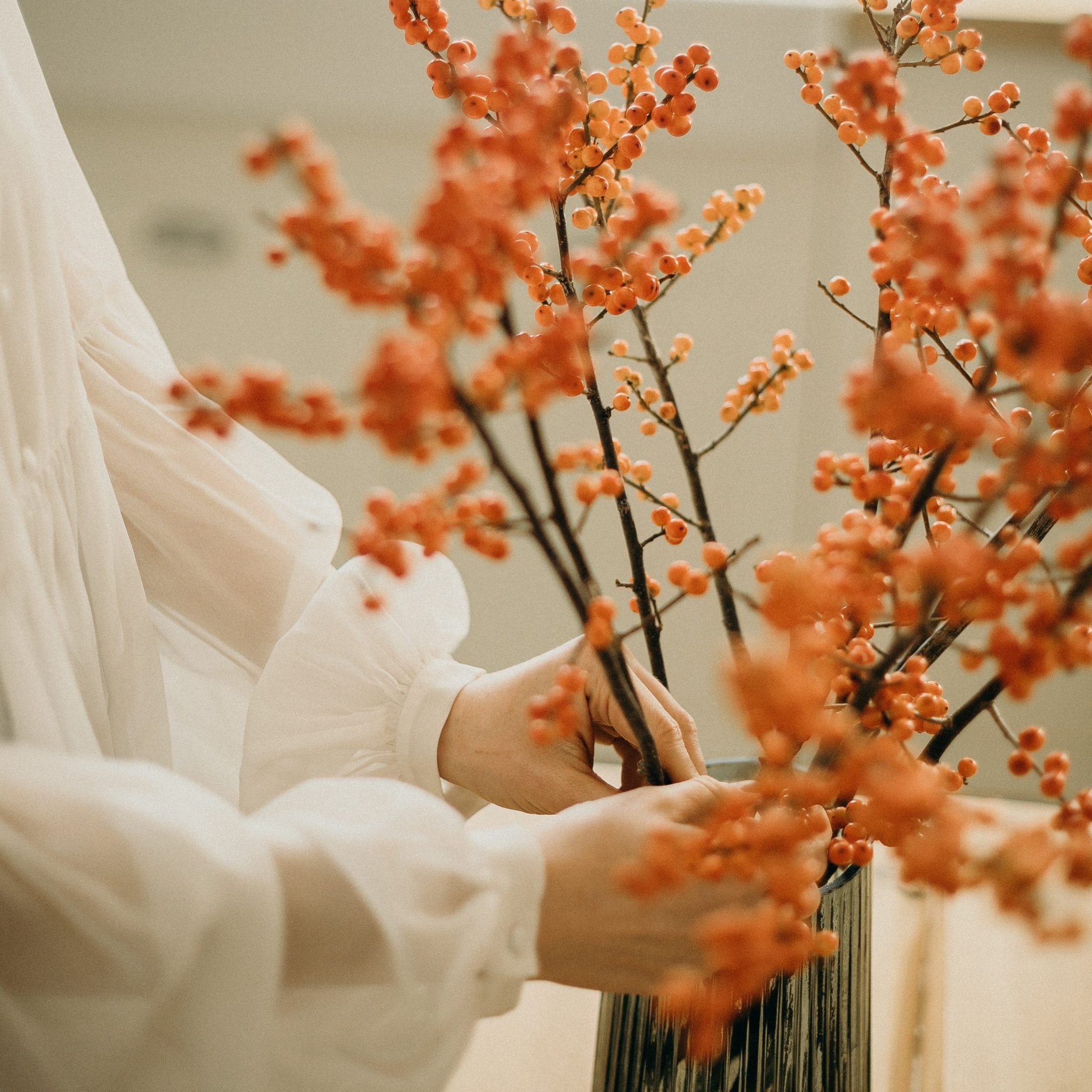 Vases of Dried Flowers