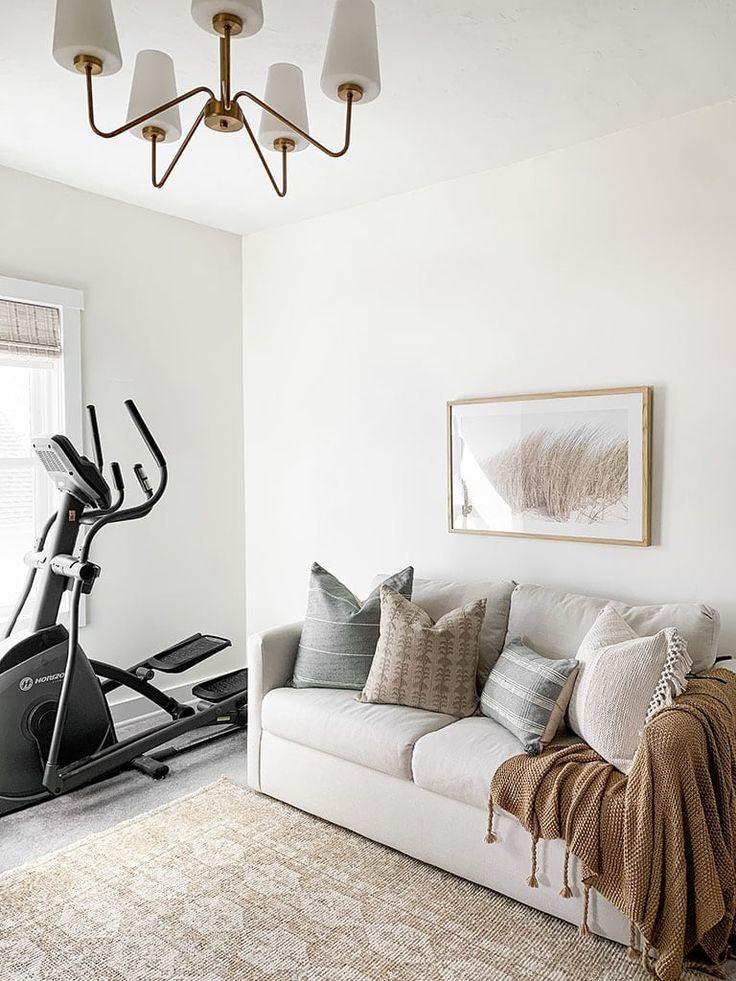 Small Home Gym and Guest Room Combination