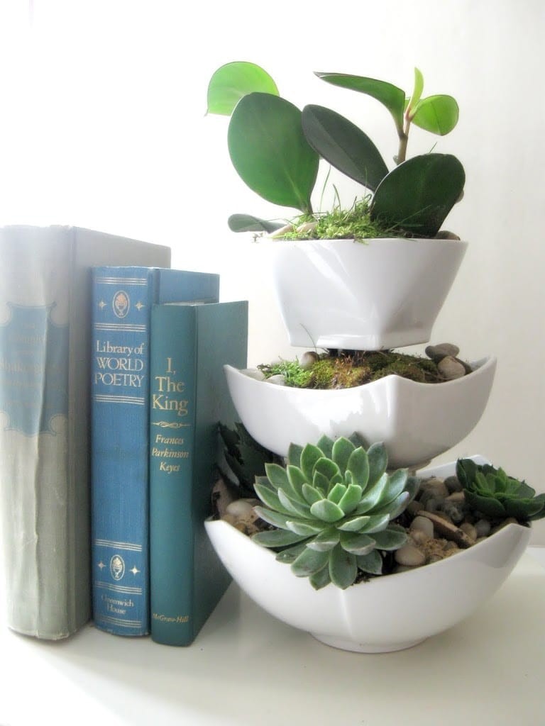 Tiered Succulent Planter