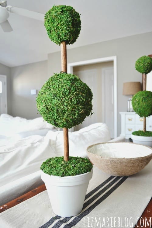 DIY Moss Topiaries