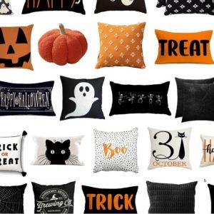 More Throw Pillows & Blankets…