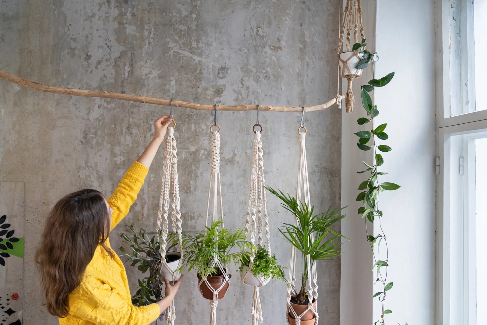 Roof Plant Hanger