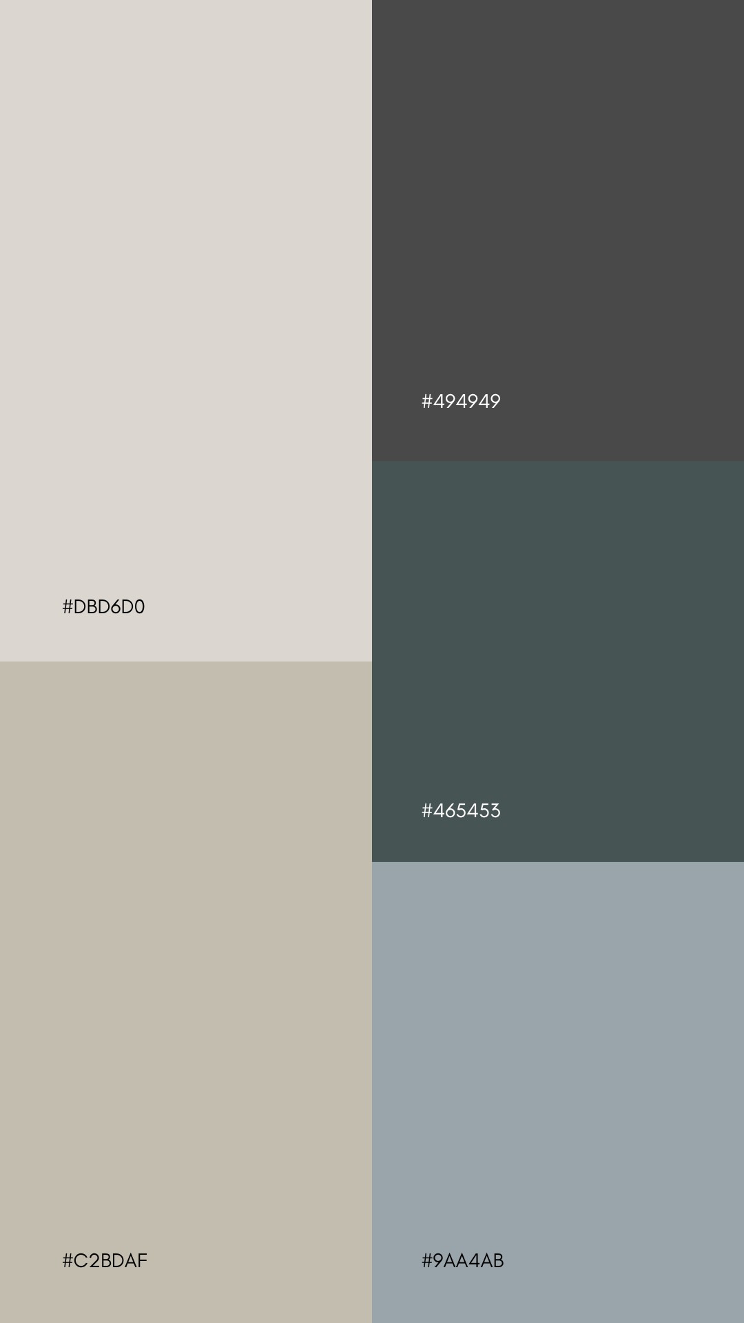 Organic Modern Decor Color Palettes