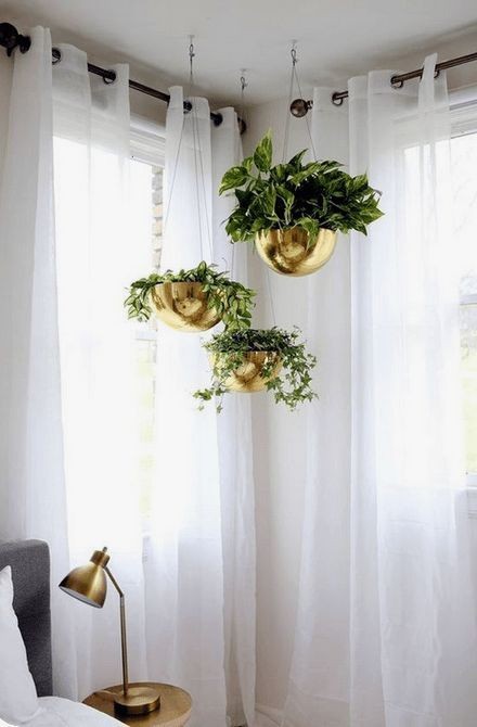 Simple Small Room Decor Idea: Add Plants