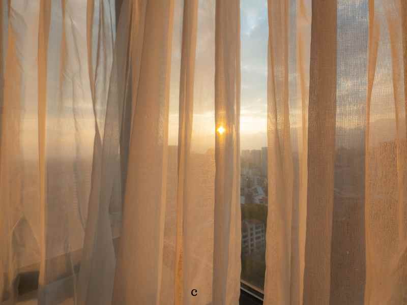 Silk Curtains