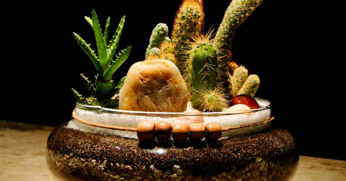 DIY Terrariums: Bringing Nature Indoors Without the Cost