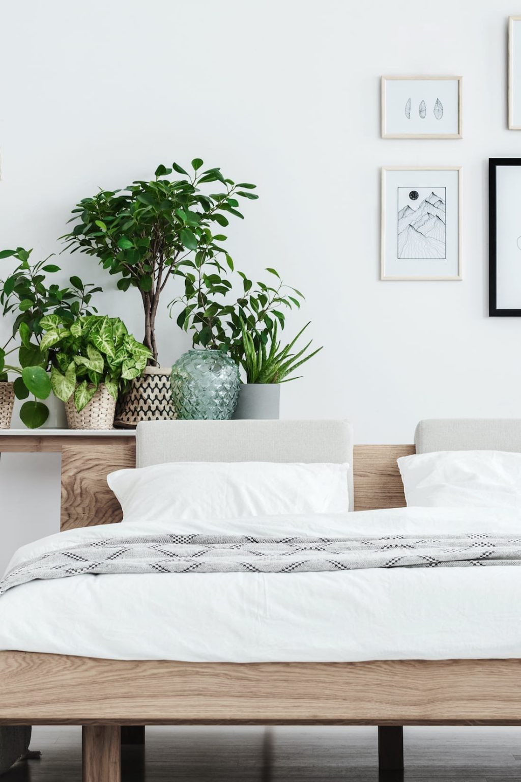 Decorating Tip #4: Include Plants in your Room Makeover