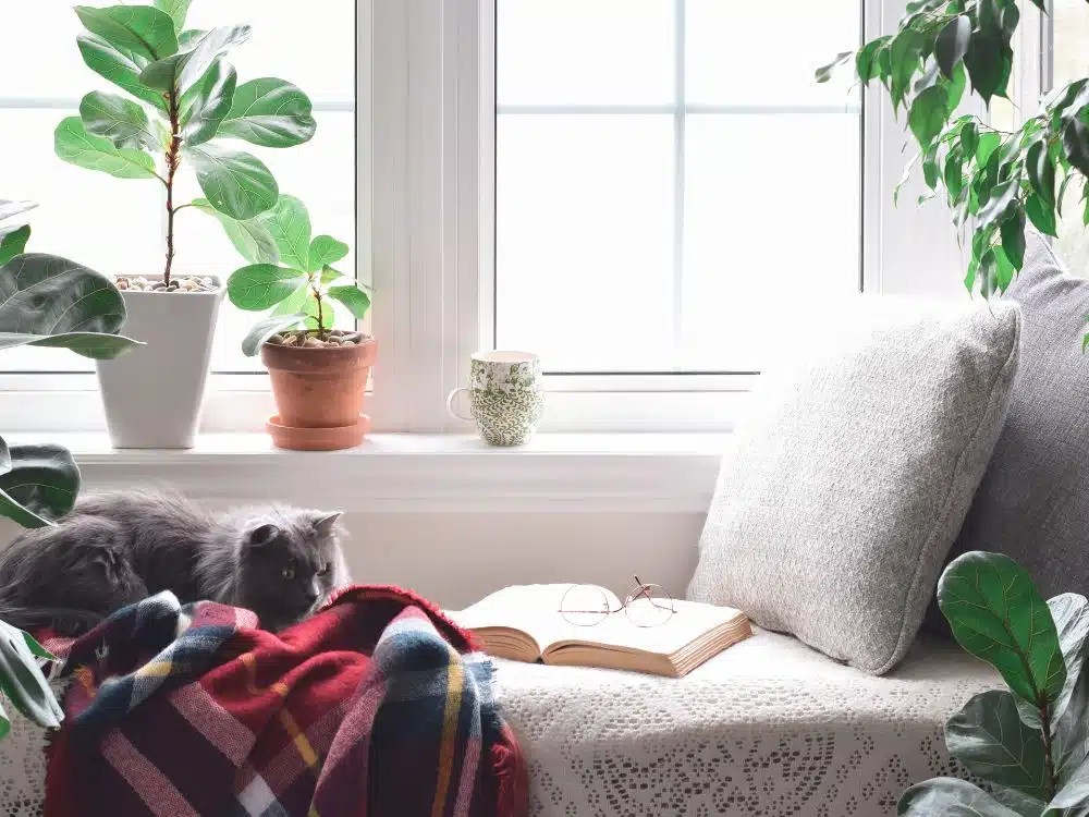 Cozy Reading Nooks